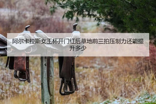a-er-ka-la-si-nv-wang-bei-kai-men-hong-hou-cao-di-qian-san-pai-ya-zhi-li-hai-neng-ti-sheng-duo-shao-2-664.jpg