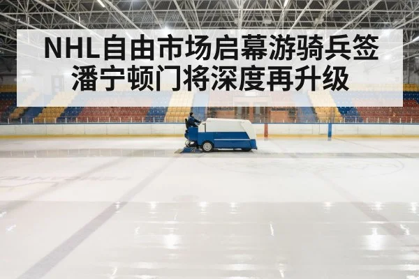 hockey rink