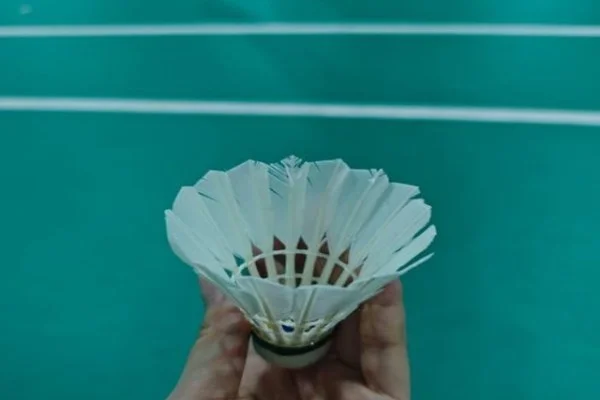 NFL第七周老鹰对阵海豚赫茨与图阿传球效率与节奏掌控对比